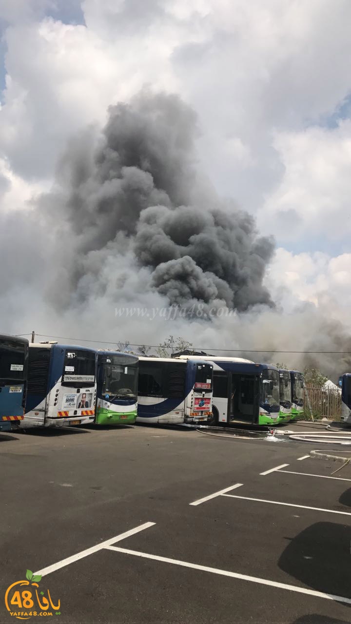 firbus eastyaffa (4).jpg